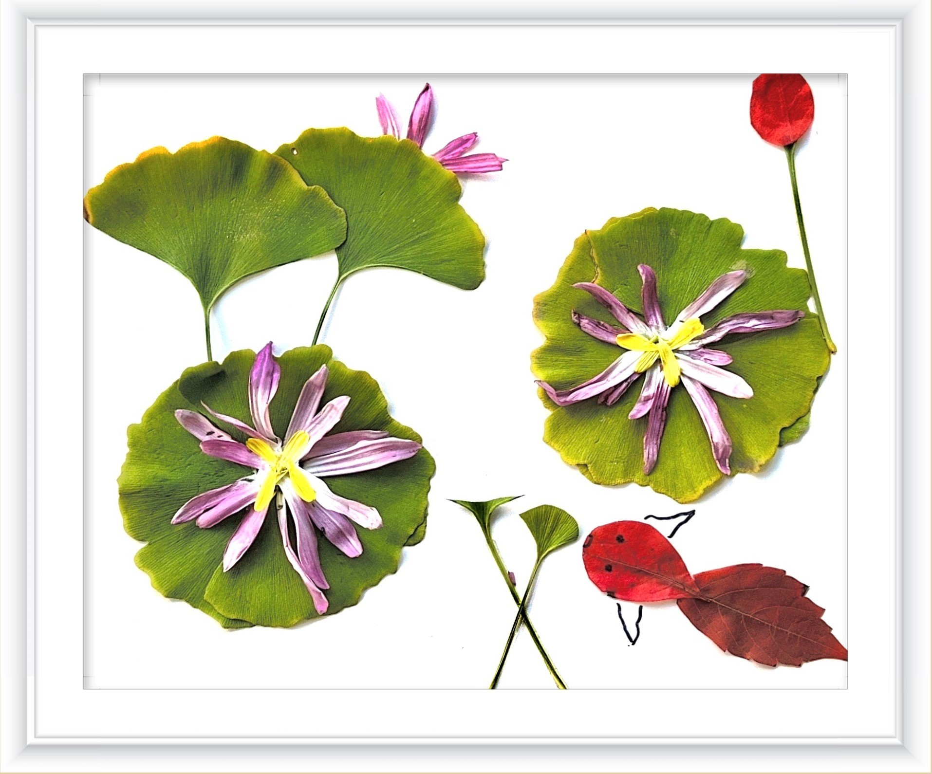 《一路清莲》作者：张颖蕊_副本.jpg